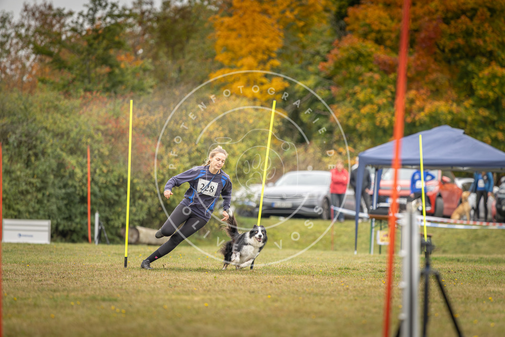Pfotenfotografie_DV3A4043 | Hundefotografie, Tierfotograf, Pfotenfotografie, Fotoshooting Hund, Hunde Portrait, Hundesport, Hundeportraits, Heideshooting, Hunde, Sportfotograf, Hundefotograf, Turnierhundsport, THS,  - Realisiert mit Pictrs.com