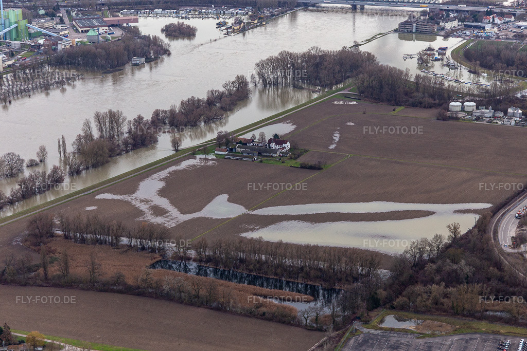 Luftbild: Hofgut Ludwigsau bei Rheinhochwasser im Ortsteil Maximiliansau in Wörth im Bundesland Rheinland-Pfalz in Deutschland. Foto: IMG_124240.jpg vom 04.02.2021 durch Werner Riehm/FLY-FOTO.de