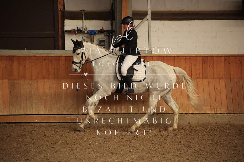 IMGT4562 | pl-fotografie