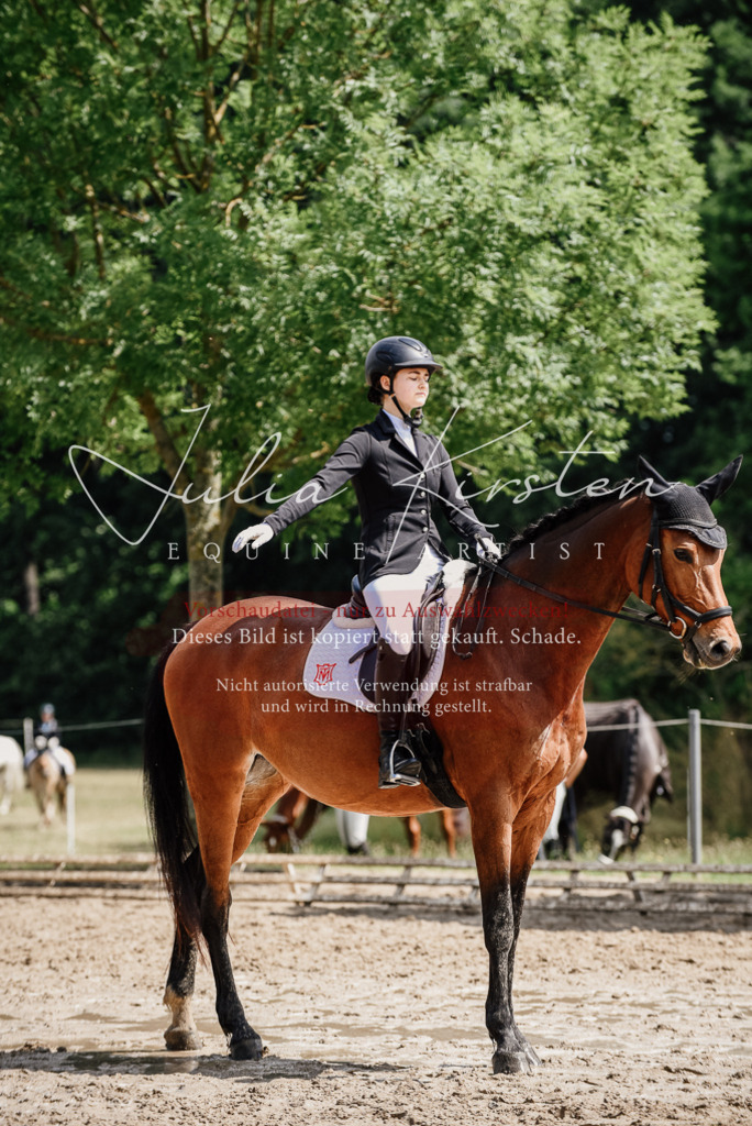 DSC_0967 | Pferde- und Turnierfotografie in Westsachsen. Pferdeportraits, Auftragszeichnungen und intuitive Kunst.