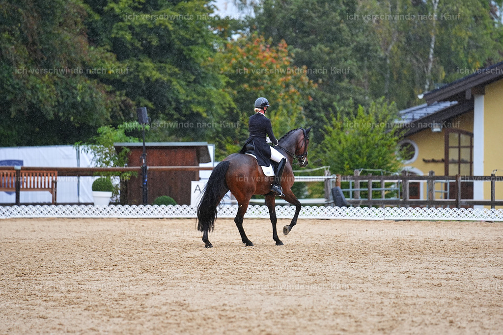 8_1-020-Klasse S_  -Marixx-4371 | working equitationturnier fotograf videograf stoibphotography marixx film working equitation deutschland reitsport turnierfotografie eventfotografie equestrian events