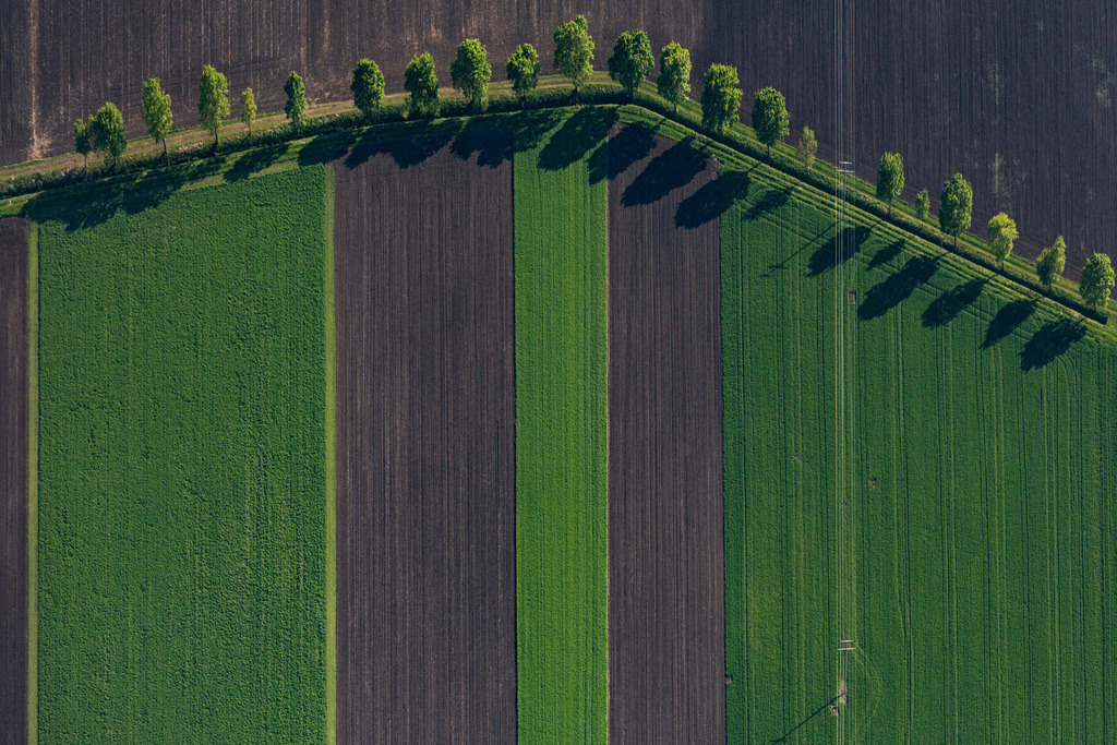dr__0027223.jpg | NöRDLINGEN 14.05.2019 Baum mit Schattenbildung durch Lichteinstrahlung auf einem Feld in Nördlingen im Bundesland Bayern, Deutschland. // Tree with shadow forming by light irradiation on a field in Noerdlingen in the state Bavaria, Germany. Foto: Daniel Reiter