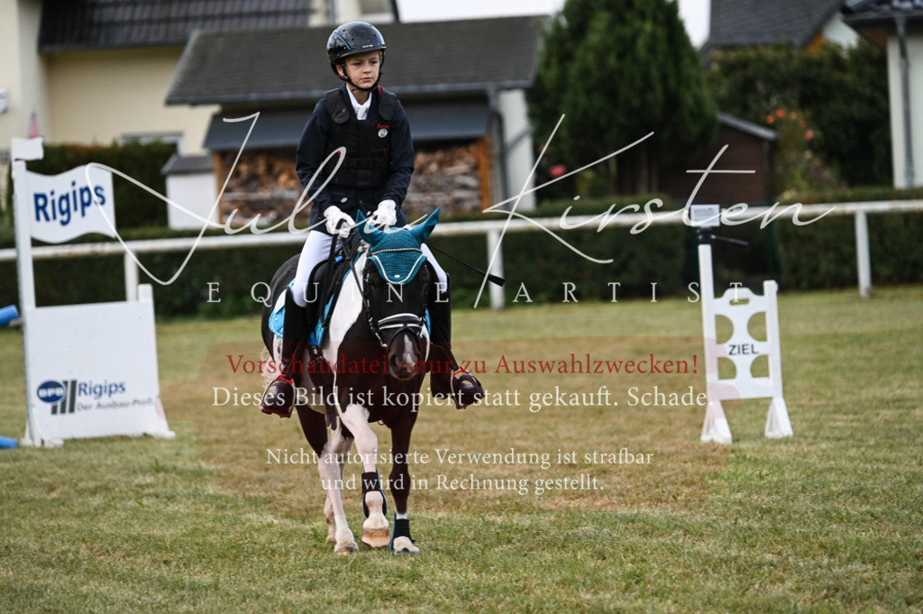 DSC_5479 | Pferde- und Turnierfotografie in Westsachsen. Pferdeportraits, Auftragszeichnungen und intuitive Kunst.