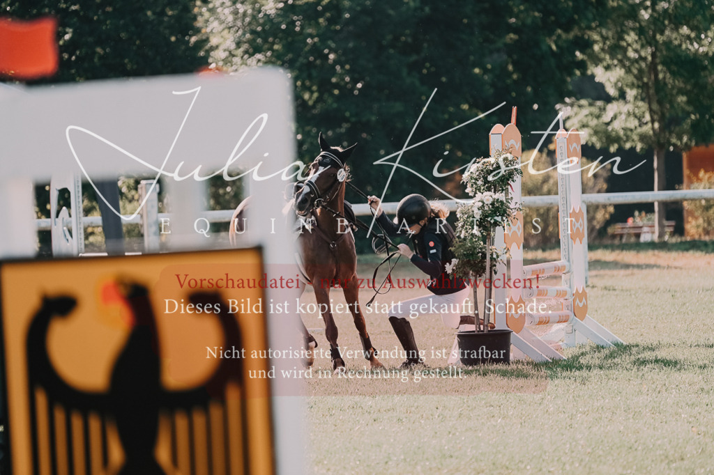 DSC_4453 | Pferde- und Turnierfotografie in Westsachsen. Pferdeportraits, Auftragszeichnungen und intuitive Kunst.