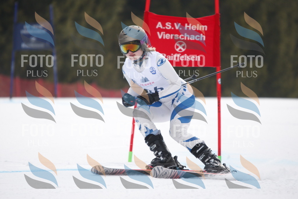 D4979 | holidayphoto