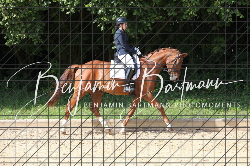 AZ2A2809 | Benjamin Bartmann Photomoments