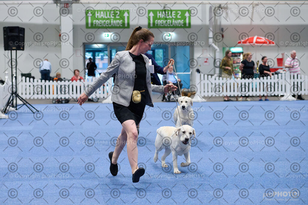 202406_ÖKV-IHA-Tulln24_DSC_3301 | proPHOTO - Realisiert mit Pictrs.com