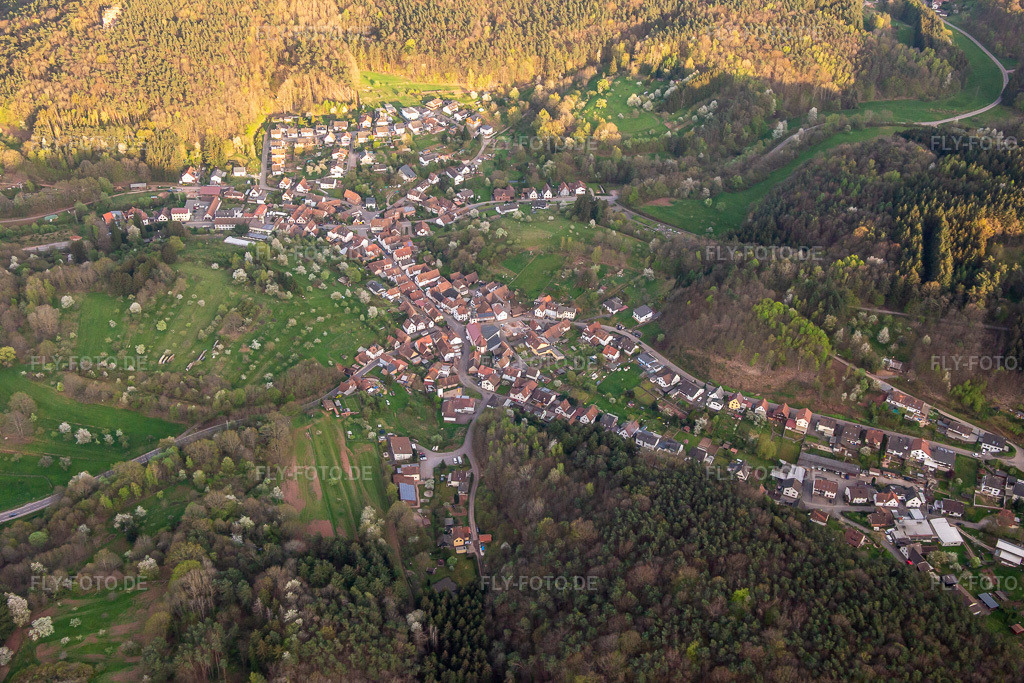 Luftbild: Ortsansicht von Norden in Schwanheim im Bundesland Rheinland-Pfalz in Deutschland. Foto: IMG_140203.jpg vom 11.04.2024 durch Werner Riehm/FLY-FOTO.de