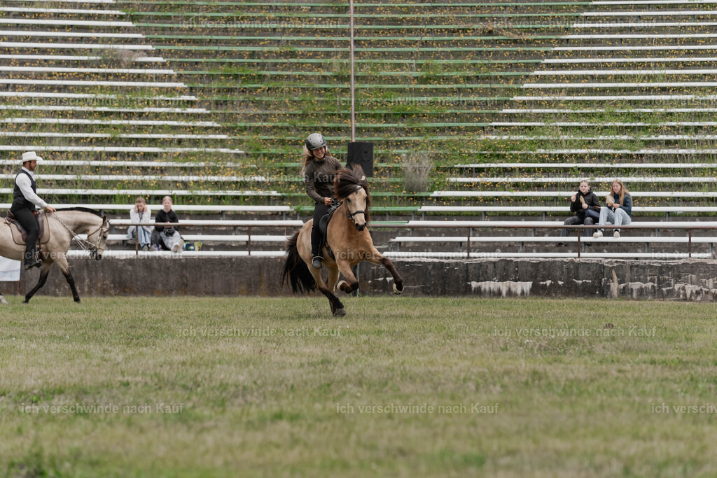 Showprogramm-202 | working equitationturnier fotograf videograf stoibphotography marixx film working equitation deutschland reitsport turnierfotografie eventfotografie equestrian events