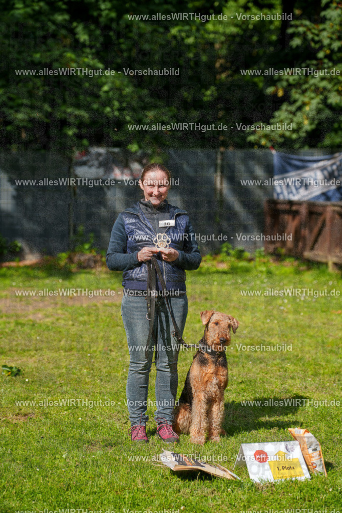 @allesWIRTHgut_Tierfotografie - www.allesWIRTHgut.de - 7R502236 | Professionelle Tierfotografie in Mönchengladbach von Daniel Wirth (allesWIRTHgut). Liebevolle & natürliche Bilder von Hunden & Katzen für unvergessliche Erinnerungen.