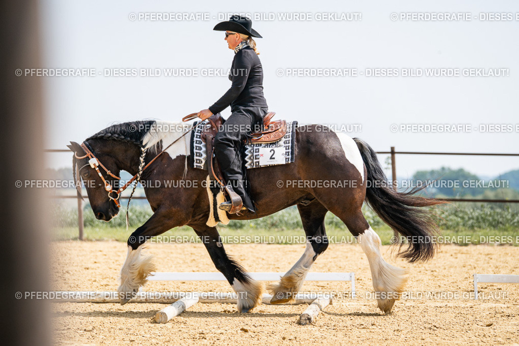 DSC00214 | Pferdegrafie