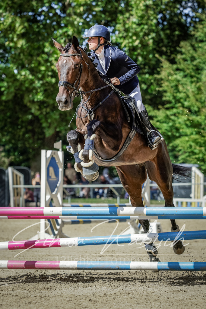 20250906-_3LI6264 | Tierfotografie Pferde, Hunde, Katzen, Haustiere.
Turnierfotografie Reitturniere, Reiten, Springreiten, Dressur in Hanau, dem Main-Kinzig-Kreis und dem Rhein-Main- Gebiet um Frankfurt