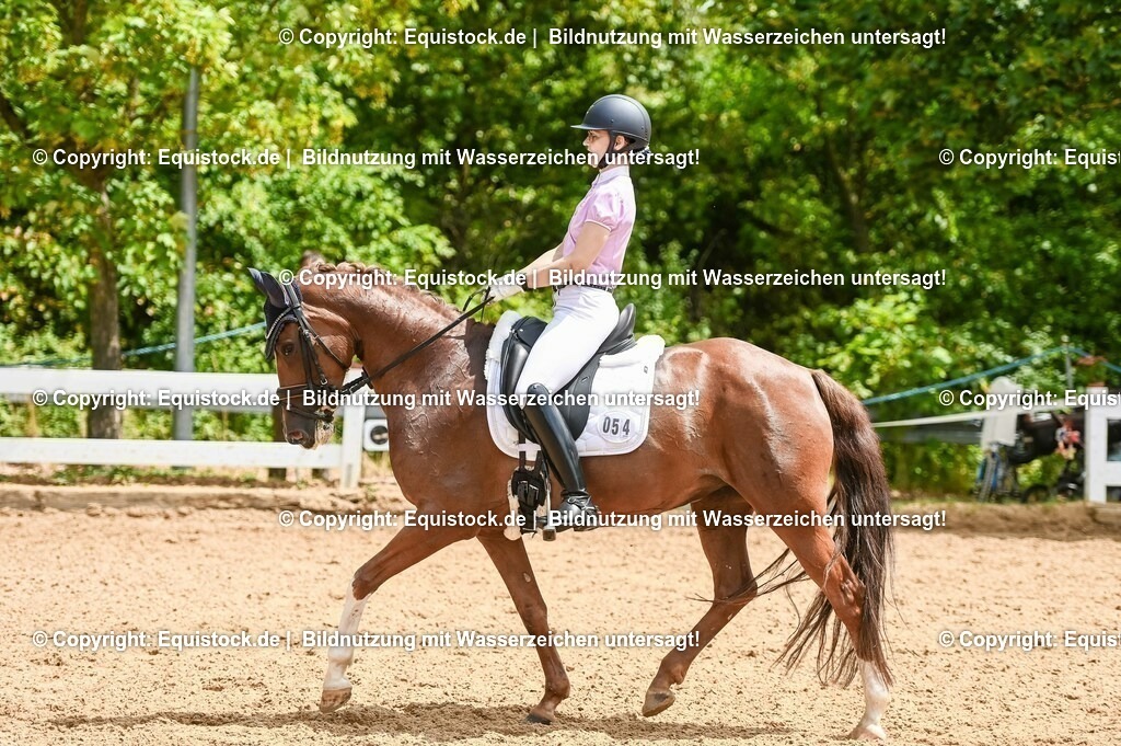 20230716_03_Dressurprfg. Kl.L - Tr._0216 | equistock