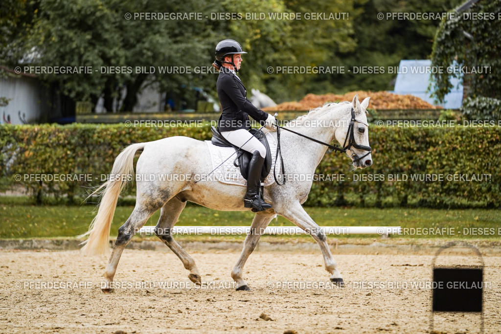 DSC07831 | Pferdegrafie