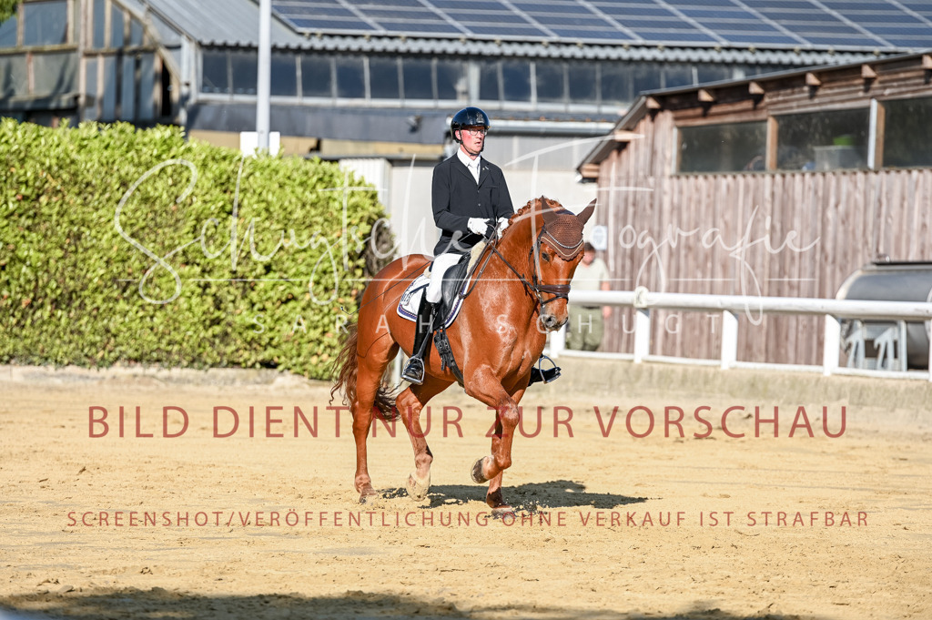 Schugtsche-Aluta25-51.Dressurpferdeprf.M-79 | Schugtsche Fotografie - Realisiert mit Pictrs.com