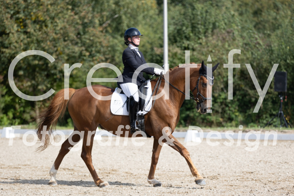 IMG_3319 | Creatify Fotografie