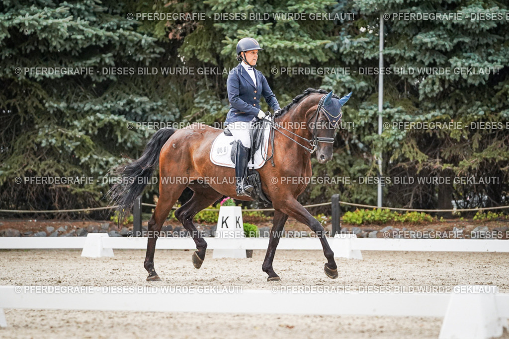 DSC09511 | Pferdegrafie