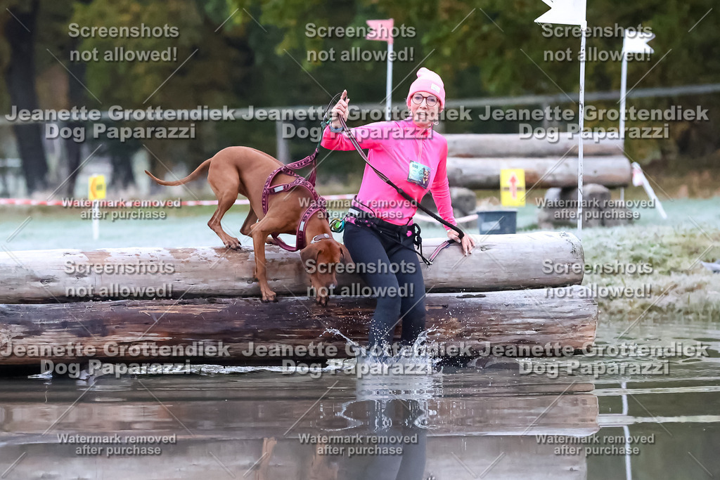 Dog Paparazzi - Strongdog 10-25-6060 | Dog Paparazzi Jeanette Grottendiek Fotografie & Videografie - Realisiert mit Pictrs.com