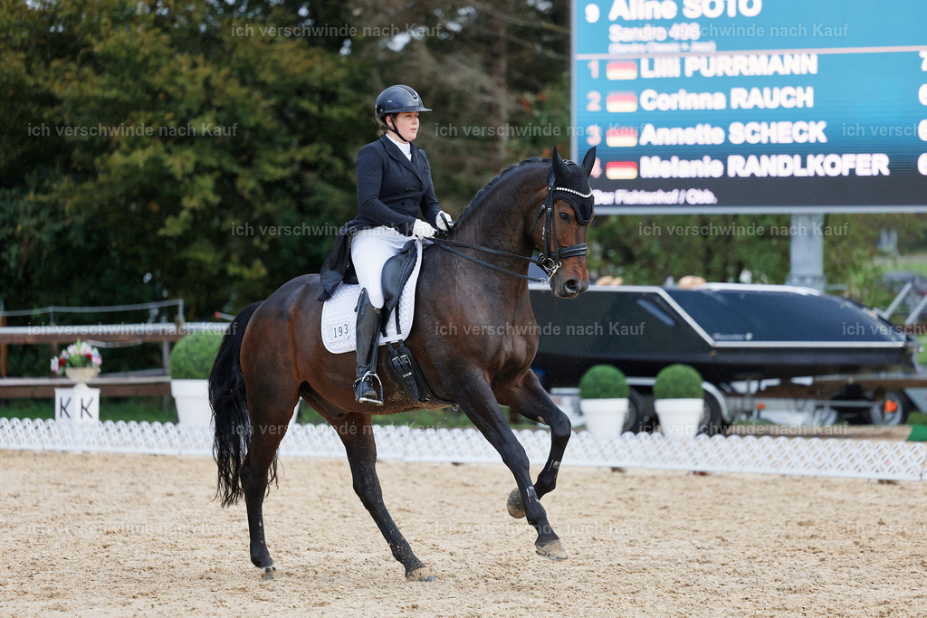 8_2-193-DRESSUR S_  -StoibPH-4521 | working equitationturnier fotograf videograf stoibphotography marixx film working equitation deutschland reitsport turnierfotografie eventfotografie equestrian events