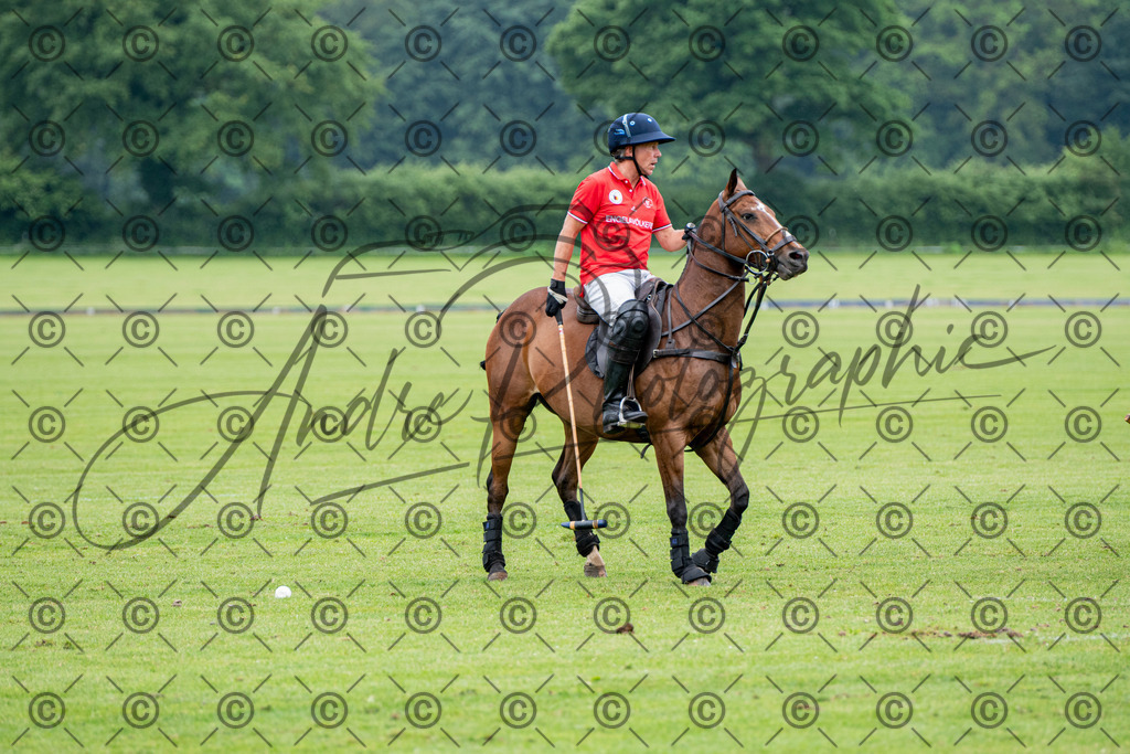 POL_2770 | andre_photographic