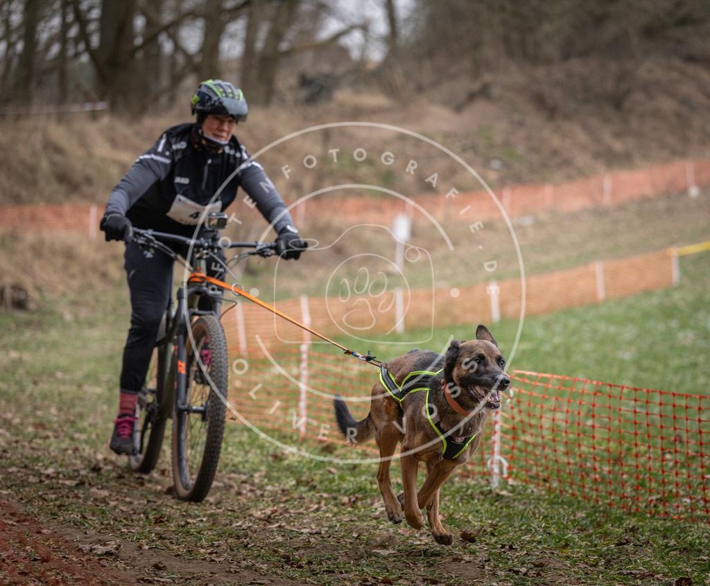 Pfotenfotografie_DV3A6264 | Hundefotografie, Tierfotograf, Pfotenfotografie, Fotoshooting Hund, Hunde Portrait, Hundesport, Hundeportraits, Heideshooting, Hunde, Sportfotograf, Hundefotograf, Turnierhundsport, THS,  - Realisiert mit Pictrs.com