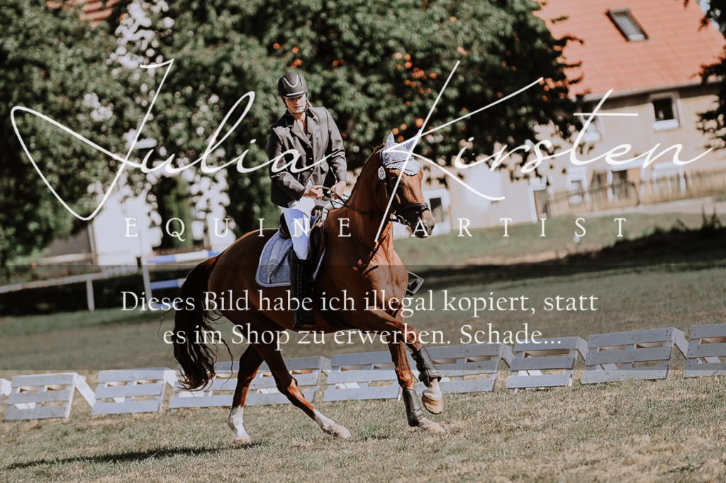 DSC_9278 | Pferde- und Turnierfotografie in Westsachsen. Pferdeportraits, Auftragszeichnungen und intuitive Kunst.