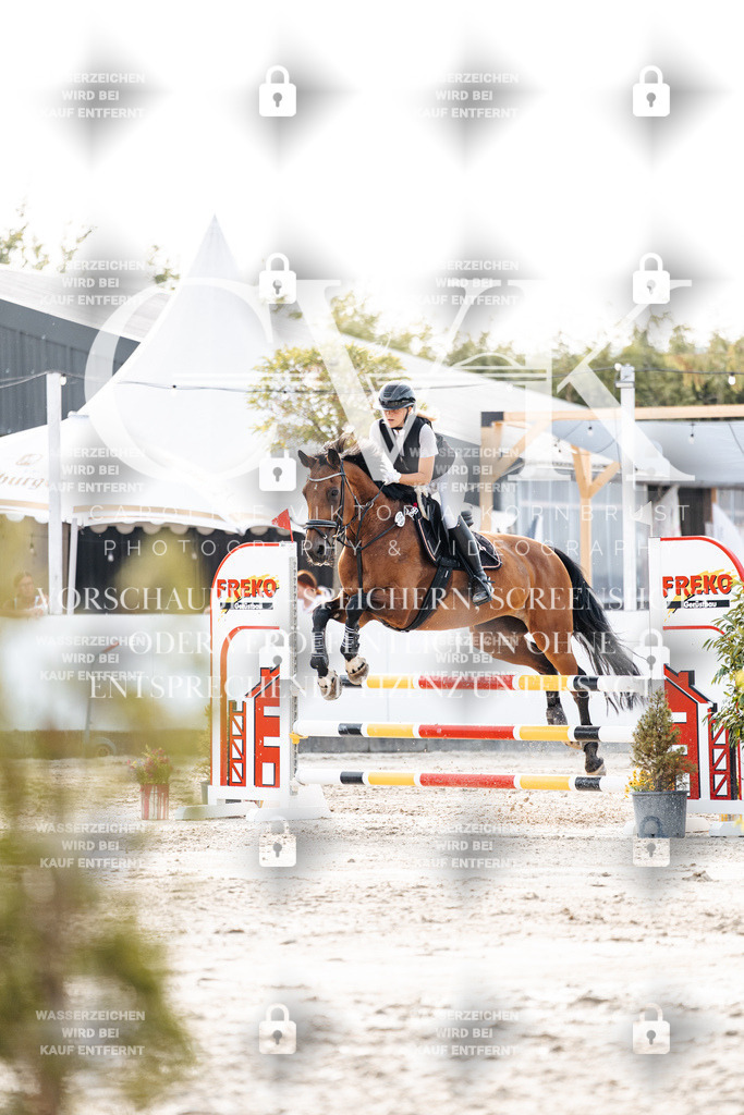 CK906906 | Turnierfotografie Pferdefotografie Trier Rheinland-Pfalz Pferdesport Reitsport Tierfotografie Sportfotografie Pferdevideo Pferdevideografie Equestrianvideography equestrianphotography  - Realisiert mit Pictrs.com