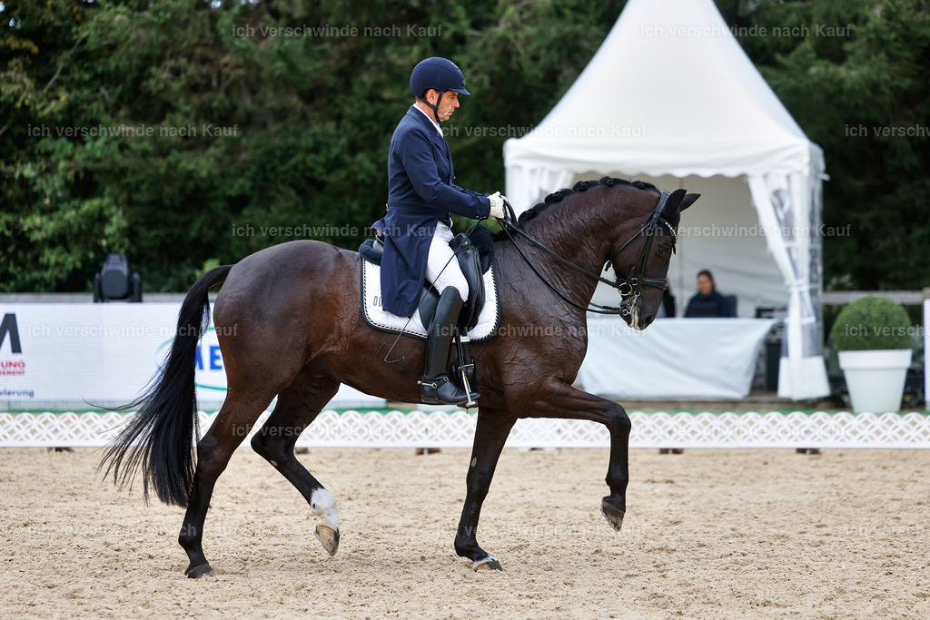 11-058-Dressur S___-StoibPH-1482 | working equitationturnier fotograf videograf stoibphotography marixx film working equitation deutschland reitsport turnierfotografie eventfotografie equestrian events