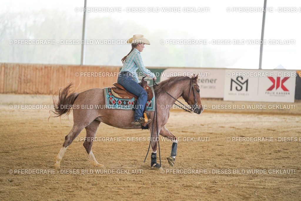 DSC08655 | Pferdegrafie