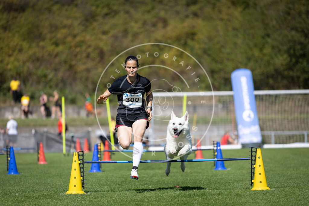 Pfotenfotografie_DV3A7764 | Hundefotografie, Tierfotograf, Pfotenfotografie, Fotoshooting Hund, Hunde Portrait, Hundesport, Hundeportraits, Heideshooting, Hunde, Sportfotograf, Hundefotograf, Turnierhundsport, THS,  - Realisiert mit Pictrs.com