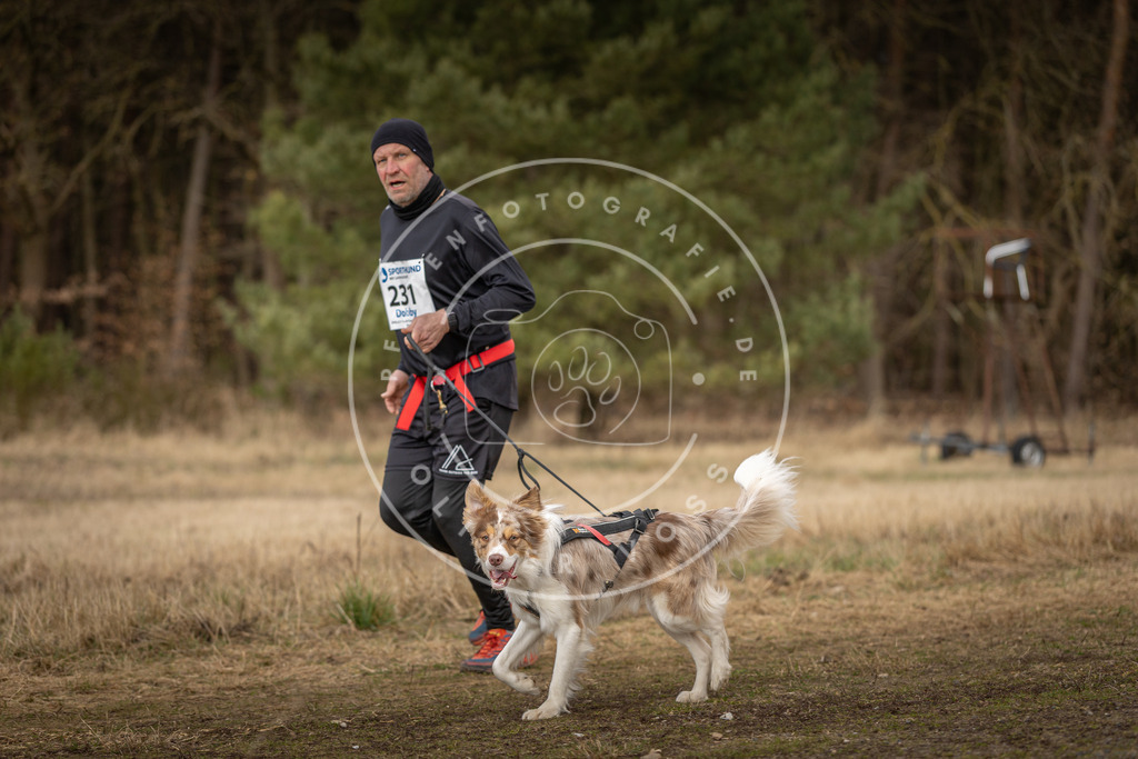 DV3A5355 | Hundefotografie, Tierfotograf, Pfotenfotografie, Fotoshooting Hund, Hunde Portrait, Hundesport, Hundeportraits, Heideshooting, Hunde, Sportfotograf, Hundefotograf, Turnierhundsport, THS,  - Realisiert mit Pictrs.com