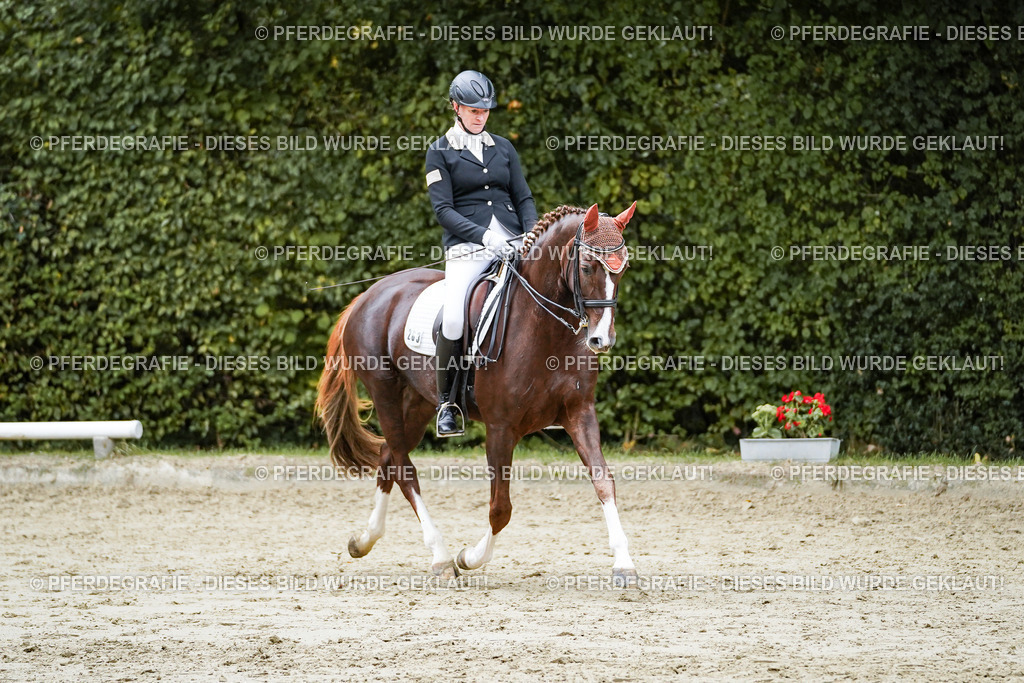 DSC09901 | Pferdegrafie