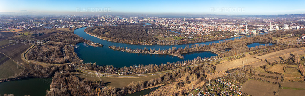 Luftbild: Panorama-Perspektive der Schleife der Uferbereiche um die Reißinsel bei Neckarau am Rhein - Flußverlauf im Ortsteil Niederfeld in Mannheim im Bundesland Baden-Württemberg in Deutschland. Foto: IMG_125468-Pano.jpg vom 21.02.2021 durch Werner Riehm/FLY-FOTO.deAuflösung des Originals: 11770 x 3717 px