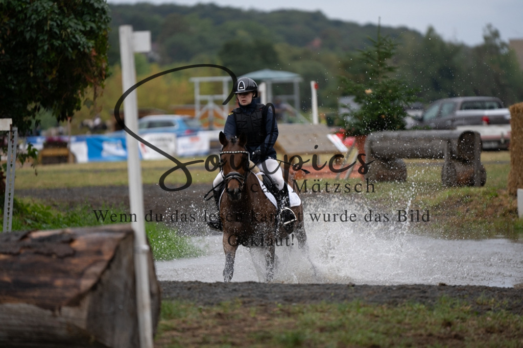 A7V00018 | Pferdefotograf