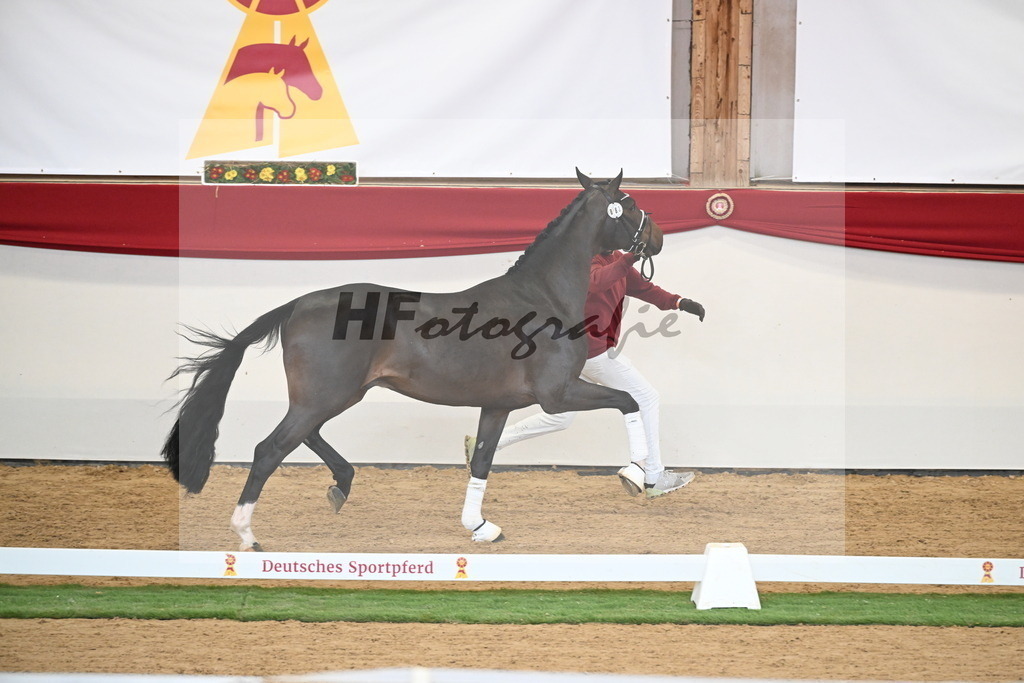 Kat.-Nr. 63 v. Foundation_Schafhof _ Jäckel_2250439 | hf-fotografie - Realisiert mit Pictrs.com