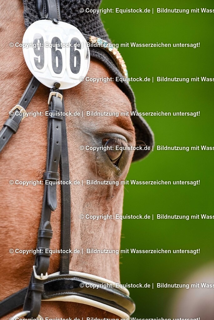 20250608_CVI-Masterclass_0556 | Foto: Thomas Hartig