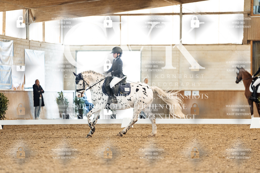 CK908931 | Turnierfotografie Pferdefotografie Trier Rheinland-Pfalz Pferdesport Reitsport Tierfotografie Sportfotografie Pferdevideo Pferdevideografie Equestrianvideography equestrianphotography  - Realisiert mit Pictrs.com