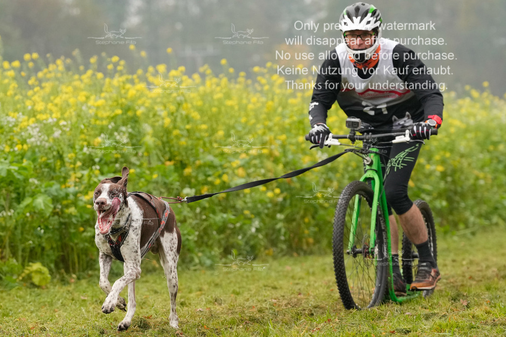 AusschnitteSa-34 | stephaniefillaphotographie - Realisiert mit Pictrs.com