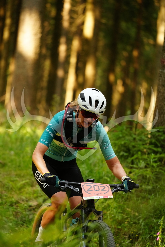 FC102976 | Fotogalerie der Treibjagd im Dunkelwald - Dein MTB Etappenrennen im Erzgebirge - Realisiert mit Pictrs.com