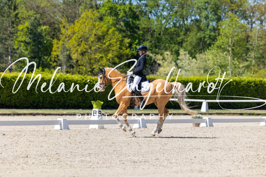 7I8A1246 | melanie-engelhardt-photography - Realisiert mit Pictrs.com
