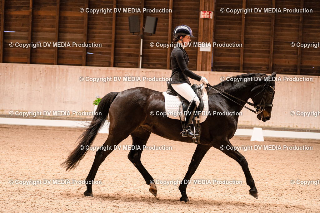 Dressur Tag 1 -210 | dv-media-shop - Realisiert mit Pictrs.com