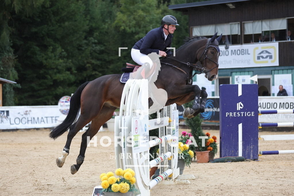 0P6A8047 | Willkommen bei Brunnmayr - Design & Fotografie – Ihrem Spezialisten für Reitturniere und Pferdeveranstaltungen in Oberösterreich, Salzburg und Bayern! Seit über 17 Jahren sind wir leidenschaftlich dabei.