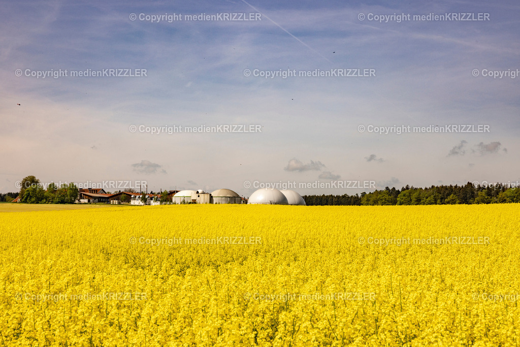 _J3A0606 | medienkrizzler - Realisiert mit Pictrs.com