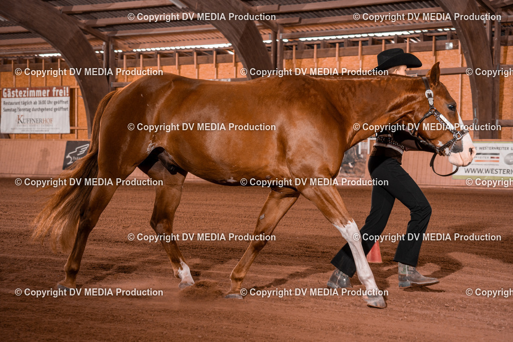 NE201488 | dv-media-shop - Realisiert mit Pictrs.com