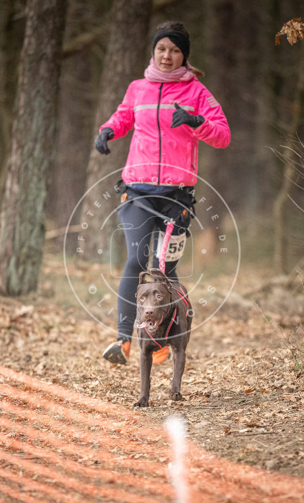 Pfotenfotografie_DV3A2010 | Hundefotografie, Tierfotograf, Pfotenfotografie, Fotoshooting Hund, Hunde Portrait, Hundesport, Hundeportraits, Heideshooting, Hunde, Sportfotograf, Hundefotograf, Turnierhundsport, THS,  - Realisiert mit Pictrs.com