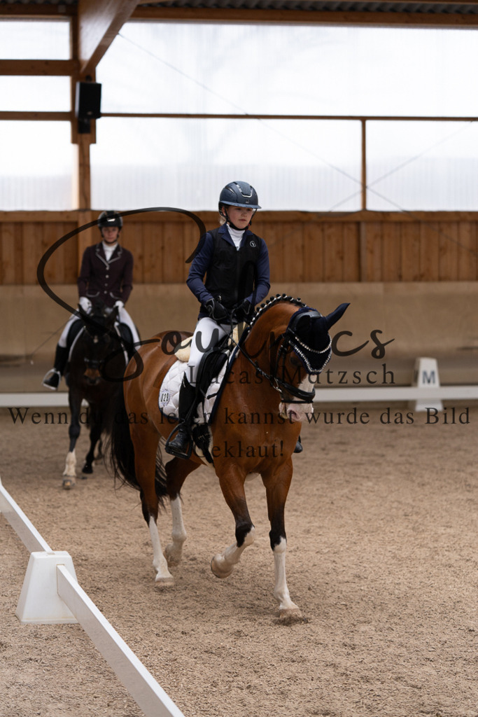 A7507098 | Pferdefotograf