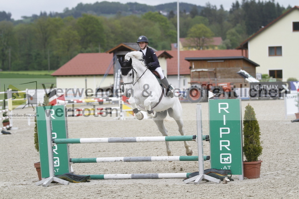 _MG_0842 | equestrian-live-com