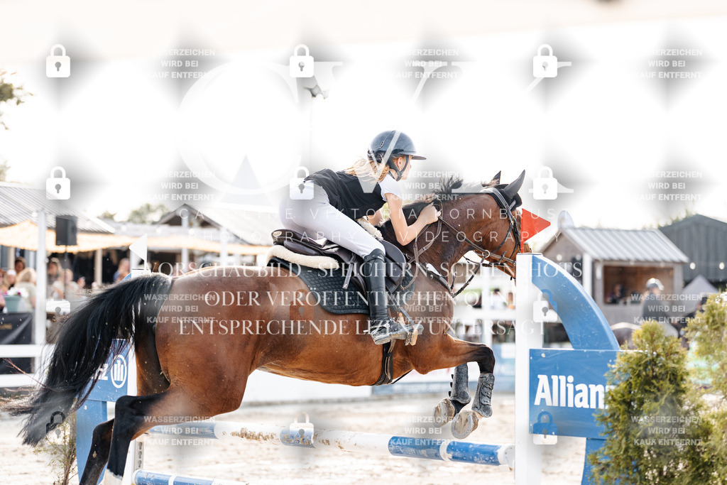 CK906979 | Turnierfotografie Pferdefotografie Trier Rheinland-Pfalz Pferdesport Reitsport Tierfotografie Sportfotografie Pferdevideo Pferdevideografie Equestrianvideography equestrianphotography  - Realisiert mit Pictrs.com