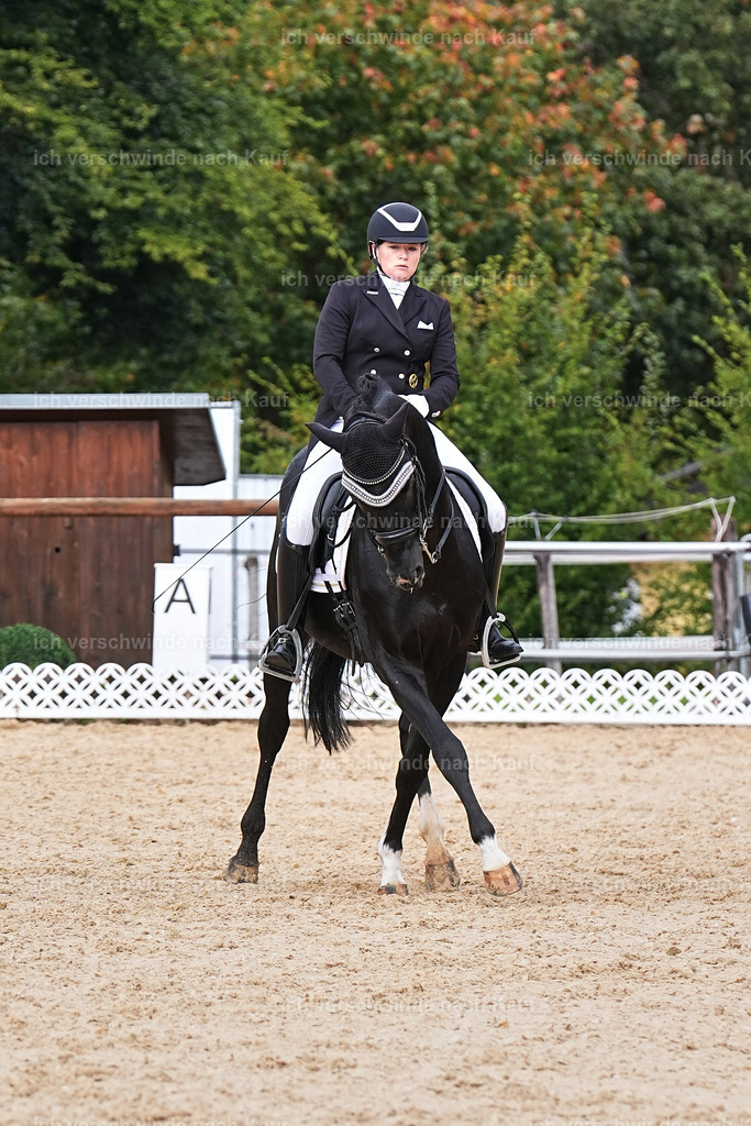 07-093-DRESSUR  S___  -Marixx-5139 | working equitationturnier fotograf videograf stoibphotography marixx film working equitation deutschland reitsport turnierfotografie eventfotografie equestrian events