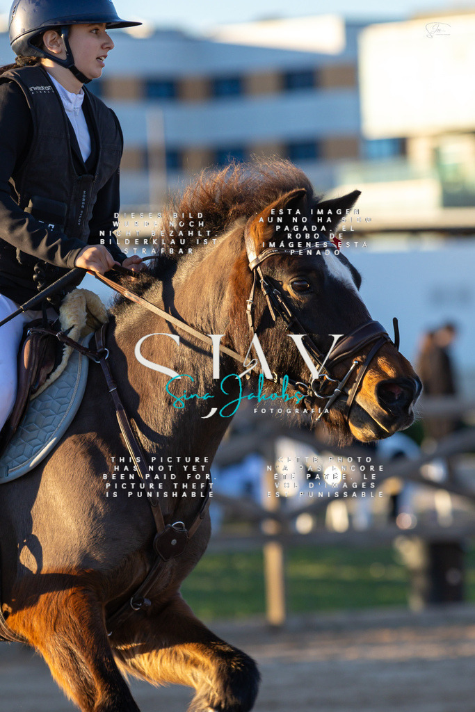 IMG_5979 | s-jay-photography - Realisiert mit Pictrs.com